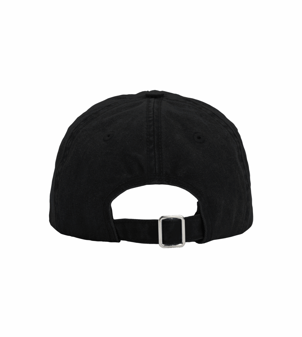 NMLS Hat - Image 4