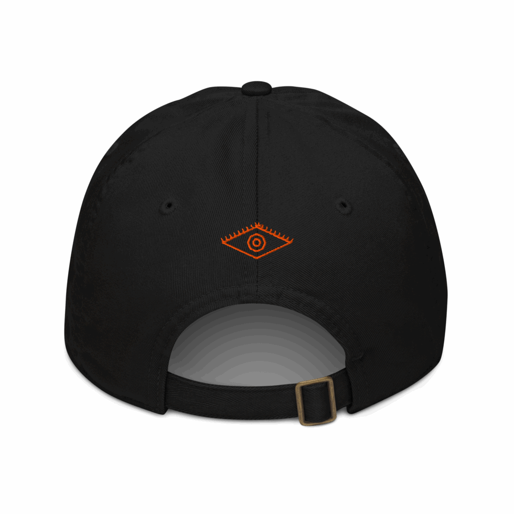 NMLS Embroidered Hat - Image 2